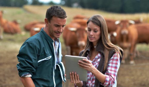 man and woman in a field looking at a tablet