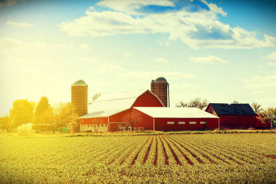 Barn in a farmers field